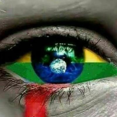 🇧🇷ADRY.A.P🇧🇷