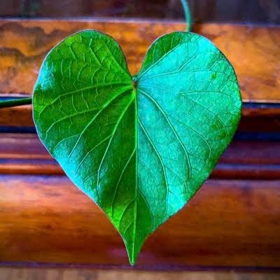 Mousso 🇸🇳🇲🇱🍉