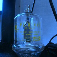 フローズン・ﾆｰﾄ