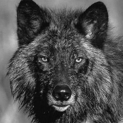 Gaëtan Girard-Ratrenaharimanga