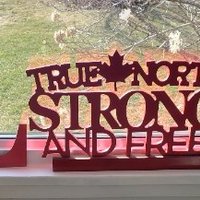 fairies in flight in the moonlight