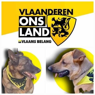 Veronika Verhulst 🎧🎶☕📚💻🖲📱🍈🍉🍊🥑🥦🌶🍄