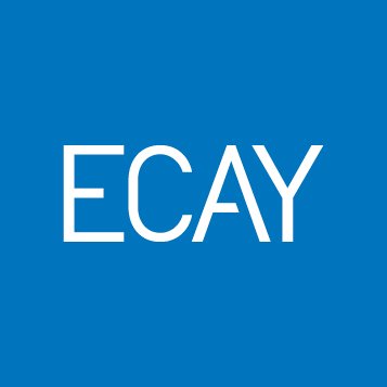 El Consultor de los Ayuntamientos