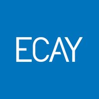 El Consultor de los Ayuntamientos