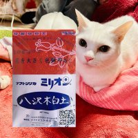 妃サーヤ ソフトシリカ 八沢木白土