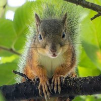 るる Lairaruru🐿🦋🌎🇯🇵