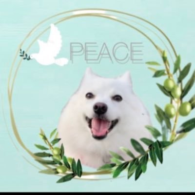 ゆきのり🍉🕊️☮️