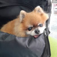 Nøźźy Nøśböũrnē®