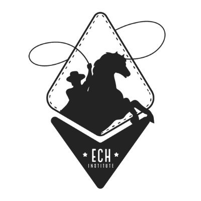 ECH Institute Inc.