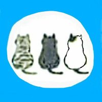 あらら 🐱😺😸