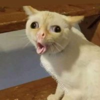 hh รับสอน CU-ATS ชิปปิ้งเกาหลี 160฿