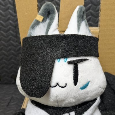 555gh🌽（ファイズ）（一体いつから────雑魚ん部だと錯覚していた？今はねこん部だ。）