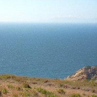 António Reis (JAM SESSIONS)