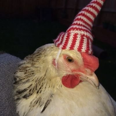 .⭑๋࣭ 𝘥𝘢.𝘭𝘪𝘦𝘵 ✈︎ ๋࣭ ⭑