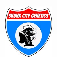 Skunk City Genetics