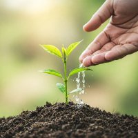 LakshmiPRABHAKAR Koppolu