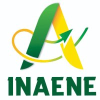 Instituto Nacional Actores Económicos no Estatales