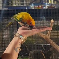 𝓁ꪖꪜꪖꪀꪗꪖ