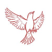 AzaadEcho- The Rebel