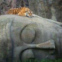 keerthik śaśidharan