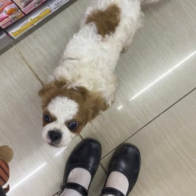 st𝓐r jenel ์ ★