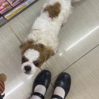 st𝓐r jenel ์ ★