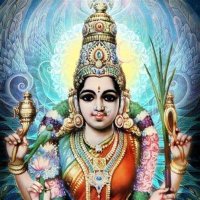 Srividya Tantra Peedom