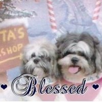 Pat 1941 also @pat1941.bsky.social