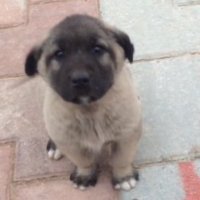 Milli Kütüphane Metro