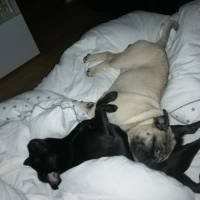 Rider Yui Mitsou 🍾& 💞