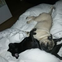 Rider Yui Mitsou 🍾& 💞