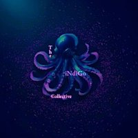 𝐓𝐡𝐞 𝐢𝐍𝐝𝐢𝐆𝐨 €𝐨𝐥𝐥𝐞𝐜𝐭𝐢𝐯𝐞