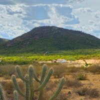 Serra dos Campos Novos
