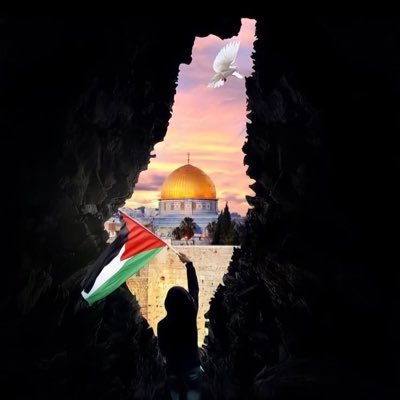 Muhamad_Njaaye 🇸🇳