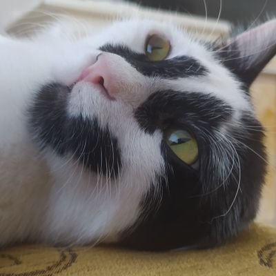 @BorsaTrendX🇹🇷