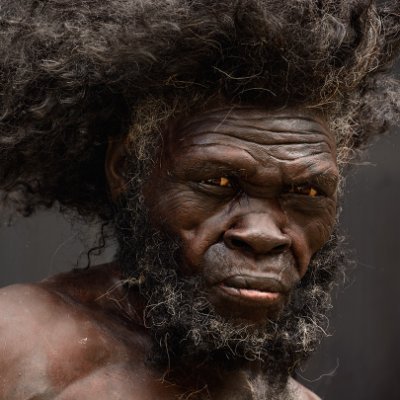 Origin of the Species