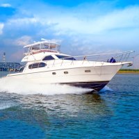 アニバーサリークルーズ | 記念日