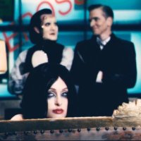 cola | WILL FORTE SHADY FACTS