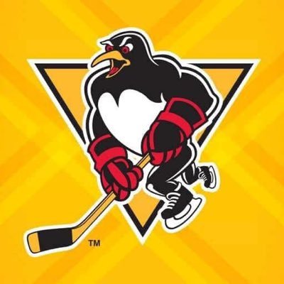 Wilkes-Barre/Scranton Penguins