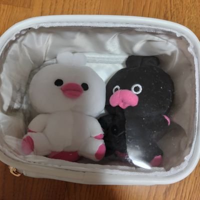 sachiko38　🌙🏰🍎👀🦑