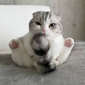 🐱neco【CoDモバイルアカウント販売/買取】