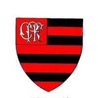 Flamengo Estatísticas e Contador de Gols