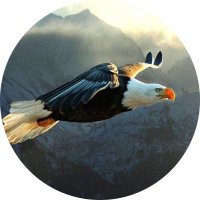 Wynand✝️🇮🇱🇺🇸🇿🇦