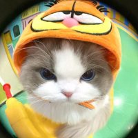 มัมหมีเบบี้กัมมี่ (•◡•) 🍊