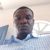 Ocheni Emmanuel Ali (Nuels Unlimited Sales Market)