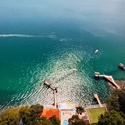 Lúcido♌💙🌈🍀🌻🍃🛡🏹💦🌵🚩