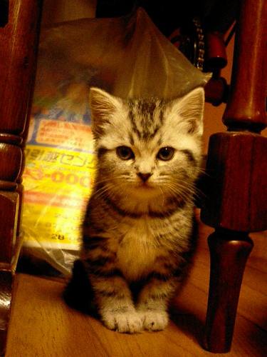 ビスケー湾の十字架🏴‍☠️