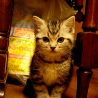 ビスケー湾の十字架🏴‍☠️