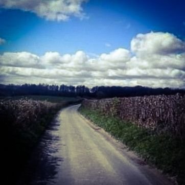 ♻️𝓢𝔱ᖇ𝐞ⓔţ🛤️𝐓𝓻.ⓔᶜ𝓀🕊️