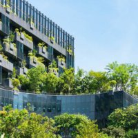 Abdullah A Al Roshoud